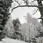 Greenfield Baneasa Airport Therme Apartman 3*